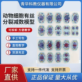 数理教学器材;教学演示用品;生物教学器材