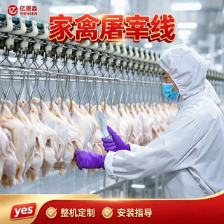 山东禽类屠宰线制作商 小型鸡鸭鹅脱毛流水线设备 屠宰脱毛机高效