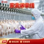 山东脱毛禽类屠宰脱毛机