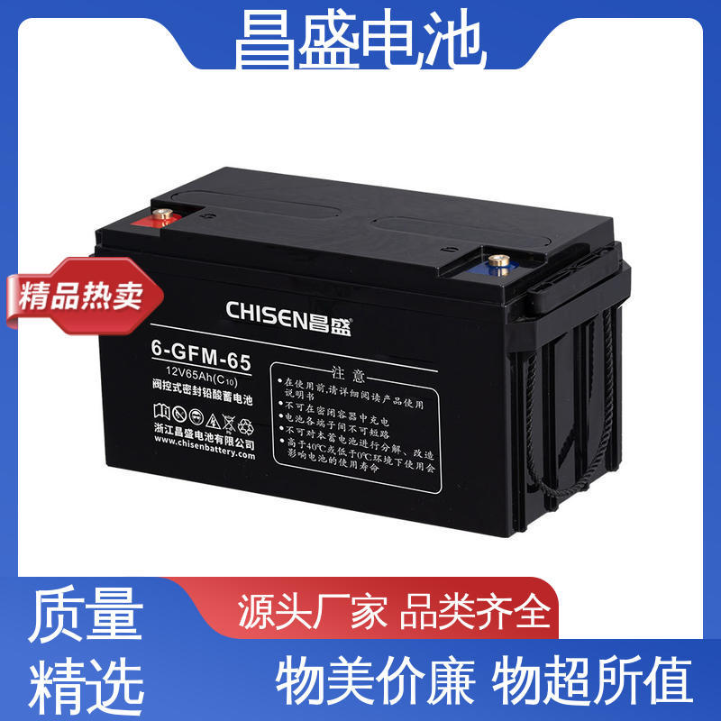 昌盛 6-GFM-65 ups电源 铅蓄电池 安防系统 库存充足