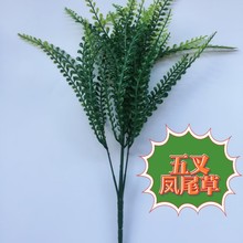 �¿�����Pβ�ݰ����Gֲ�ٻ��������Ի���c����ֲ��Gֲ�b@