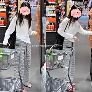 2026�＾�nϵ���񱡿��L���T����+�����@�ݗl�y���e���ѝ�ɼ���