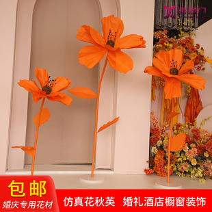 ������Ӣ������c�����b���̨�������zӰ�����ֹ���ˇ���y����