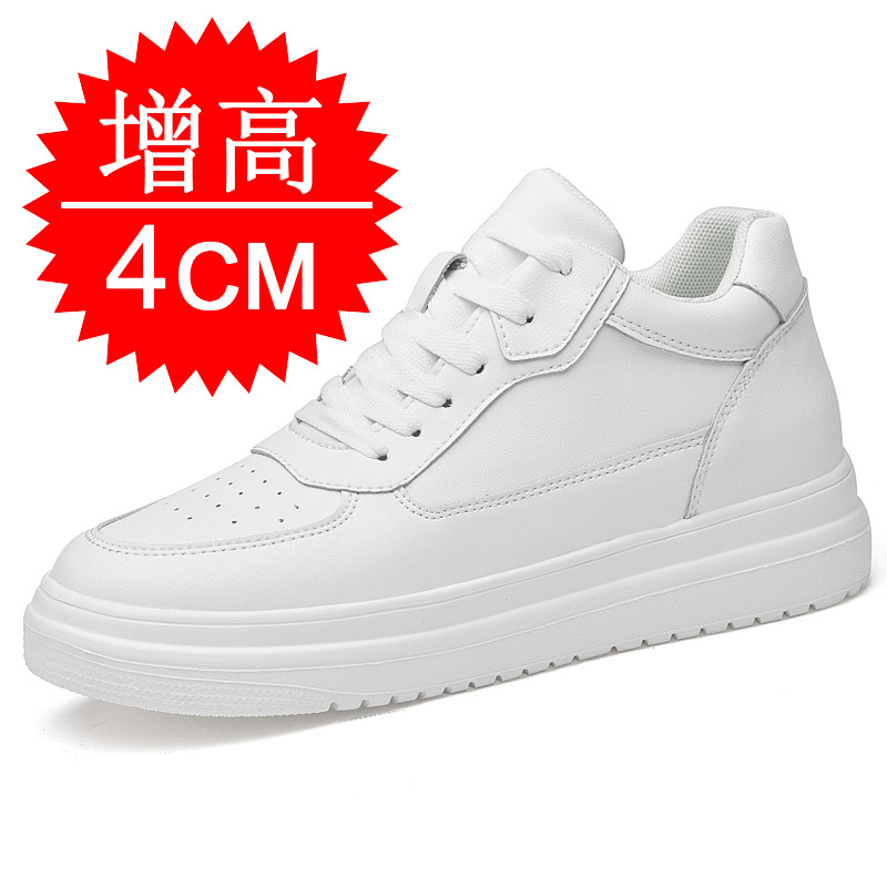 흰색은 4CM 증가합니다.