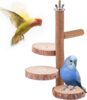 Parrot station stands, platforms, springboard, bird cage accessories, Bird Qi Bi Station Stand Stranging Bird Parrot Toys