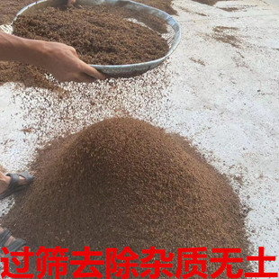 �l�͸��쵾����������͸�����ֲ�ﻨ�܌�ͨ���¼��I�B��������̿