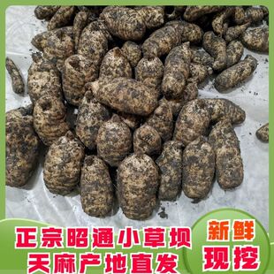 �����ͨС�݉�����F���r�����Ұ�����鶬�����һ���b���]