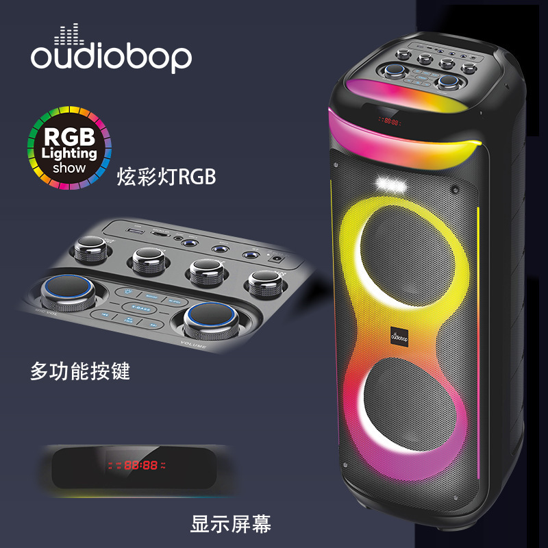 BK-S101クロスボーダー双10インチ大音量無線スピーカー屋外パーティ双麦k歌カラーライト音響|undefined