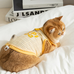 Spring and Summer Thin Breathable Two-Legged Clothes for Kittens, Devon Cats, Teddy Bichon Dogs, and Cat Clothing Pet Apparel