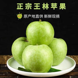 西式糕点;饼干;传统糕点