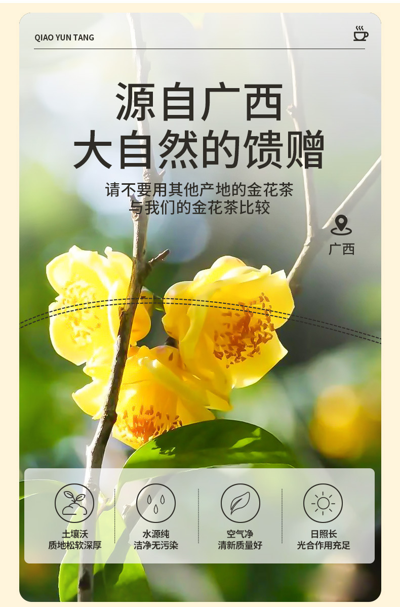 Golden Camellia Dried Flowers Jin Hua Cha 20g Canister Natural Sun Dried Guangxi Floral Tea key features