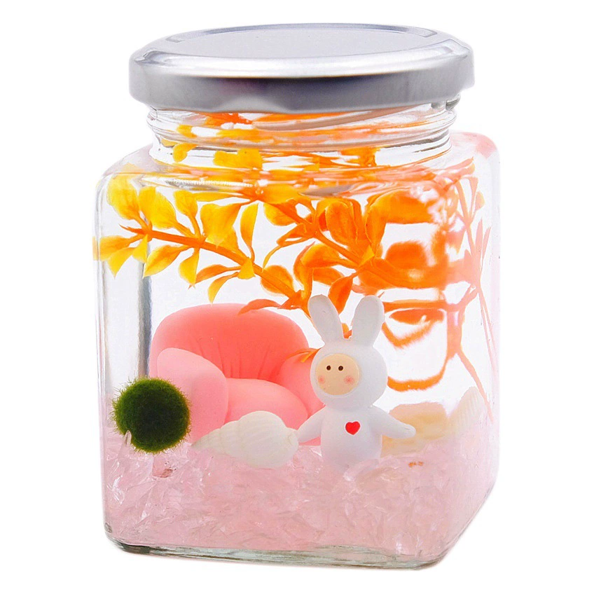 Прекрасная бутылка маримо счастливый шарик из морских водорослей микропейзаж экологическая бутылка мини-горшок творческий подарок гидропонное растение