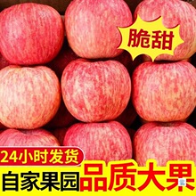 ����ɽ�|��̨����ˮ����ϼ�t��ʿ�O��ˮ��5��3��10���]