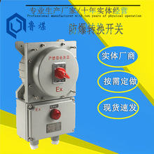 SW-10�������m�������D�Q�_�P �V�ü�ͣ���o