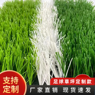 Outdoor Football Playground Roof Fence Carpet Artificial Thatch Fake Turf Kindergarten Artificial Turf Splicing Base Cloth