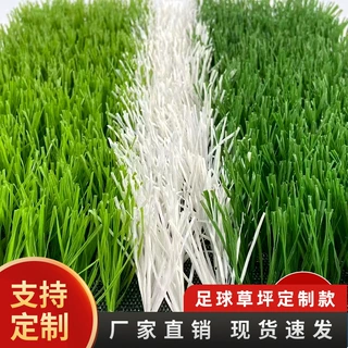 户外足球操场楼顶围挡地毯人造茅草假草皮幼儿园仿真草坪拼接底布