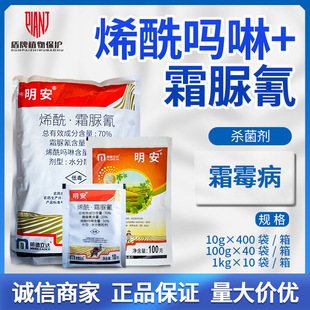 �������_����ϩ������˪��������˪ù���rș�־�˪ù�߲���Ч����