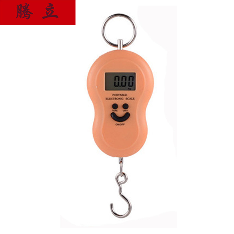 (2) ELECTRONIC HANDHELD GOURD SCALE BACKLIGHT GROCERY ELECT