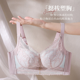 2025�¿������ ������ָУ��o�Ȧ�o�ž����{���������к�