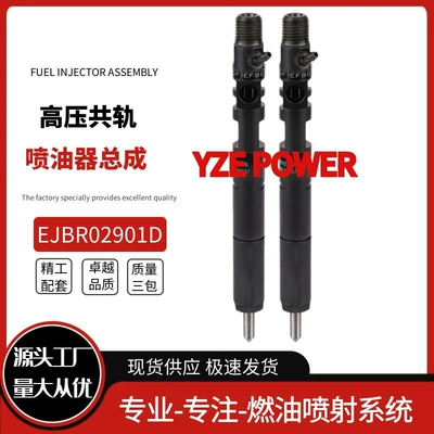 EJBR02901D common rail injector Oil pump, nozzle