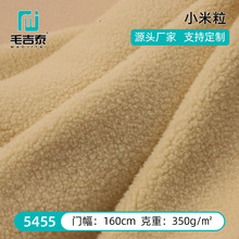 小颗粒泰迪绒圈圈绒卷曲绒加厚布料服装玩具抱枕沙发鞋帽宠物布料