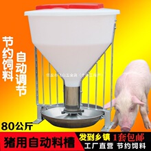 �i�ô�Ͱ�ϲ�80�����i���ɲ�ʳ���Ԅ����������i���i���P��iʳ��