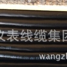 ZR-KX-GsVPVRP熱電偶用補償軟電纜