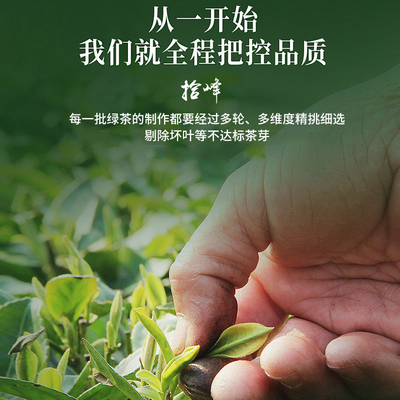 浙江2025年新茶明前茶春茶緑茶安吉工芸濃香型黄金芽茶葉卸売りバラ|undefined