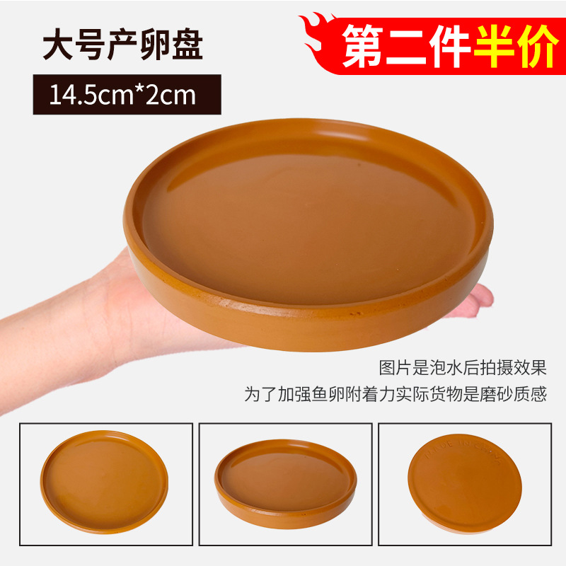 14.5*14.5cm 사육 트레이