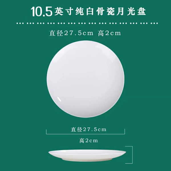 10.5-Inch Bone China Shallow Steak Plate