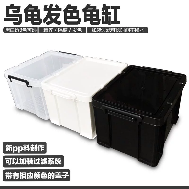 乌龟黑白发色盒佛鳄龟剃刀虎纹青鳉蛋龟专用缸鱼缸过滤龟盆饲养箱