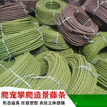 �ľ�з�����ٗl����֘��ٗl�쾰�����������������⏝���b���