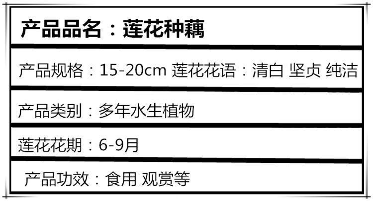 76ad063e-5b8a-47e3-9d3e-18caf694ef11.jpe