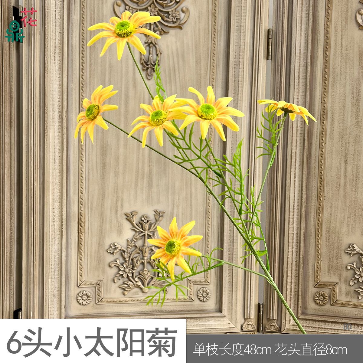 6 작은 태양 국화 BD 노란색