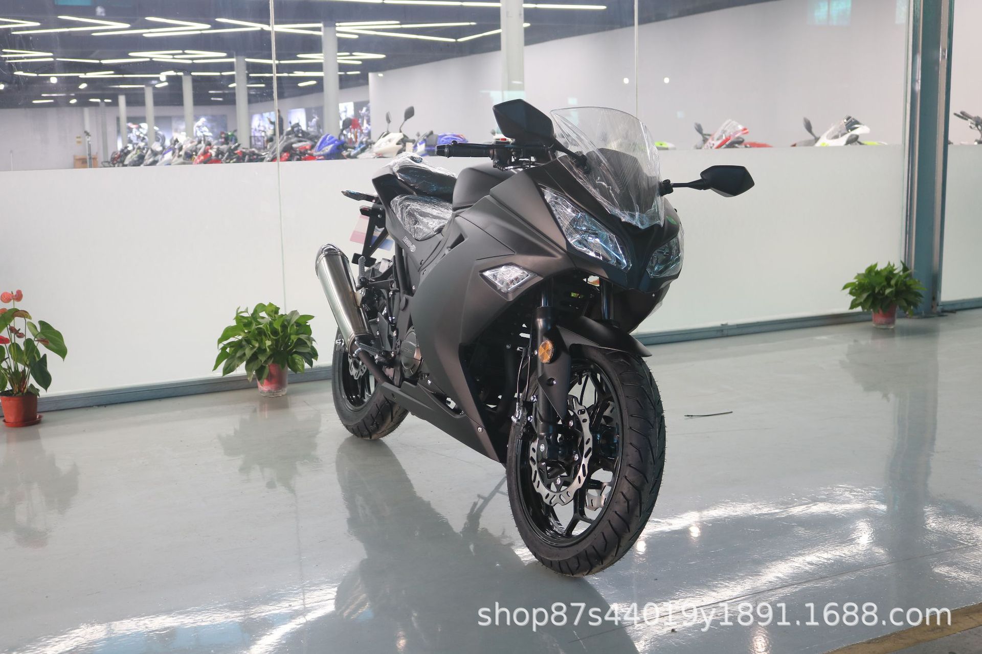License-able motorcycle Kawasaki Ninja, twin-cylinder racing replica, Horizon sportbike, adult gasoline-powered sportbike, complete vehicle
