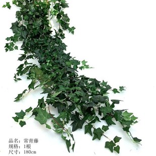 Artificial Rose Vine, Rose Vine, Large Tea Rose Vine, Wall Decoration Dried Flower Soft Floral Arrangement