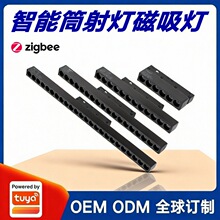 �T�f�����������o������ş���������a�S���֙CAPP�h���Z������