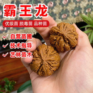 ������������Ҙ���ƽ�ȴ�ֽ�����F���������Ե��Ԯ���Y����