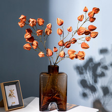 L֦\滨ٻb[cY·廨SֱN