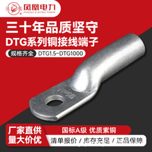 DTG管壓端子101625鳳凰國標T2紫銅電纜接頭銅管接線端子酸洗銅鼻