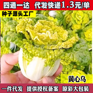 �S�Ğ��˷N�N�ӷN�ў�����ѩ�������߲��ݰײ˺ڲ˞����˲���