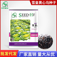 ѩSĞN10g ﶬͺ̓SĲ˷Nў˰_߲l