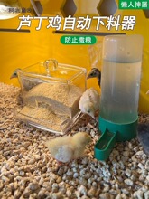 芦丁鸡鹌鹑鹌鹑雏鸡小鸡加高食槽水槽水壶喂食器自动下料喂麦太保