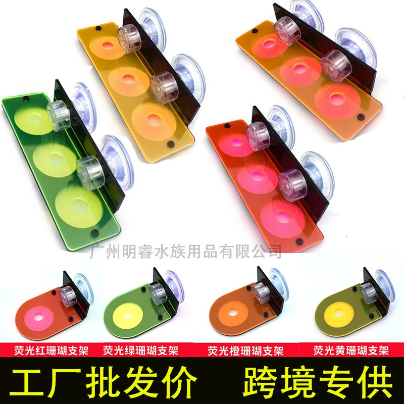 Акриловые LPS/SPS Коралловый Броп Распространение База Флуоресцентный кронштейн Лоток Кость Мягкая Кнопка Броп