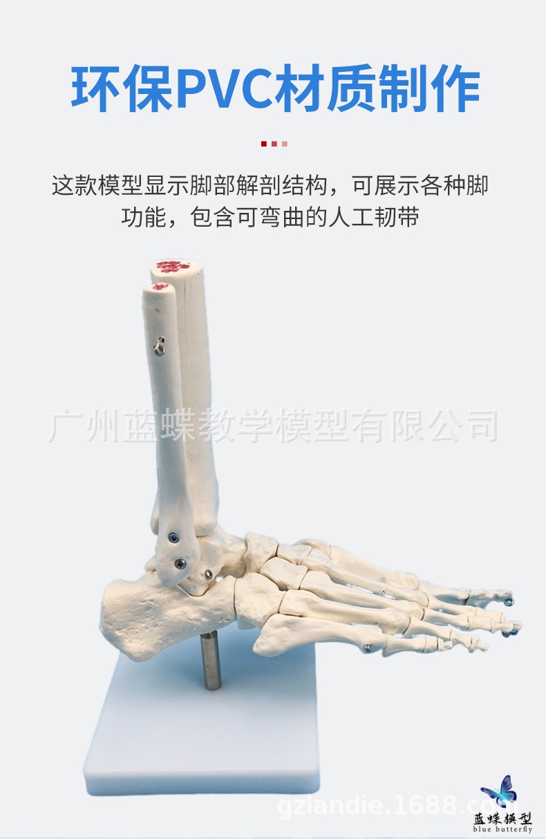 详情_03