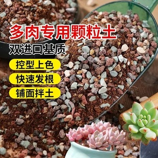 Special Soil for Succulent Nutrition Soil Particles, Universal Soil for Planting Succulents, Flower Cultivation, Peat Plant Flower Soil, Paving Stone