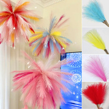 �����JȔ�ݷ��滨��c���÷��柟���JȔ��Y���յ��߽Y�鲼���b�