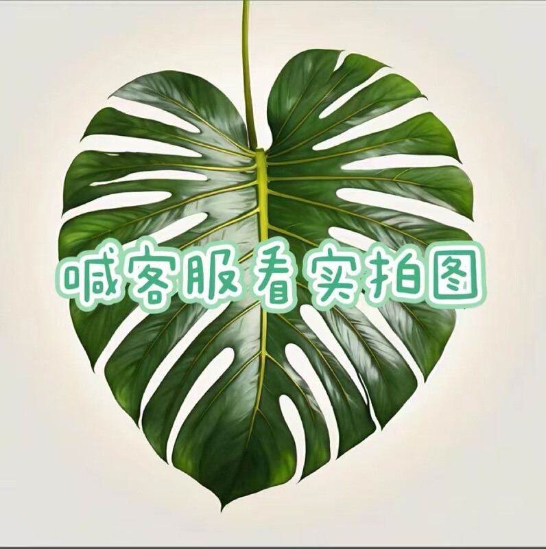 Creative Tropical Plant Leaves Cute Hanging Hand Towel Kitchen Bathroom Household Towel Rag Kidsren's Handkerchief Creative Tropical Plant Leaves Cute Hanging Hand Towel Kitchen Bathroom Household Towel Rag Kidsren's Handkerchief