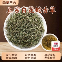 Ұ����֦ɏ�׻��������ș�����ٷ���Ş���°׻������ˮ�ݲ�