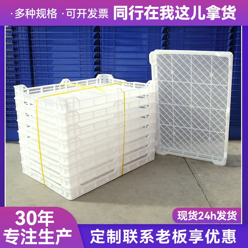 加工定制PE冷冻盘冰盘塑料烘干盘网格晾晒盘长方形单冻器周转箱